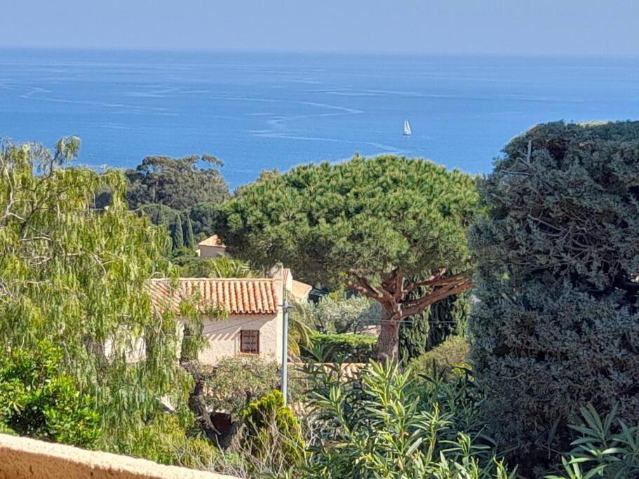 4-Star Private Villa With Heated Pool And Panoramic Sea View At Gulf De Saint Tropez Cavalaire-sur-Mer Luaran gambar